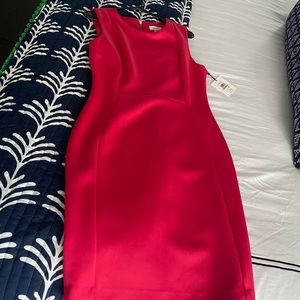 Calvin Klein Sheath Dress